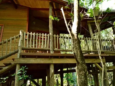 a porch of a log cabin with a tree at Waterbessiebos cottage in Tzaneen