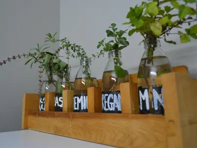 a wooden shelf with vases and plants on it at Waterbessiebos cottage in Tzaneen