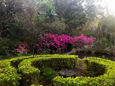 a garden with pink flowers and a pond at Waterbessiebos cottage in Tzaneen