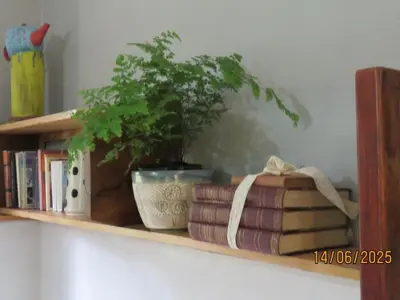 a shelf with a potted plant and books on it at Waterbessiebos cottage in Tzaneen