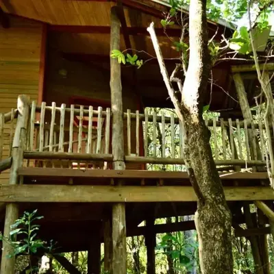Waterbessiebos cottage