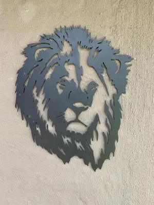 a shadow of a lion on a wall at Lindanda Luxury Lodge in Hoedspruit