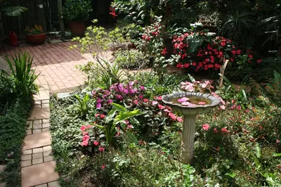 a garden with a bird bath in the middle of flowers at Panda's Guest Cottages in Kaapsehoop