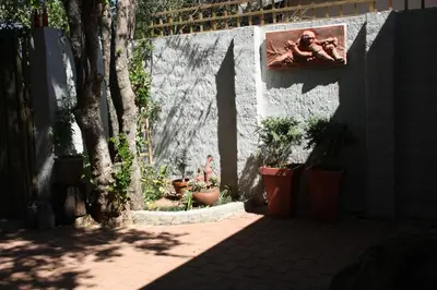 a man sitting next to a wall with potted plants at Panda's Guest Cottages in Kaapsehoop
