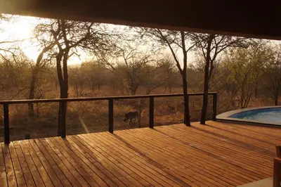 a deck with a view of a cow in a field at Uchawi wa Afrika in Marloth Park