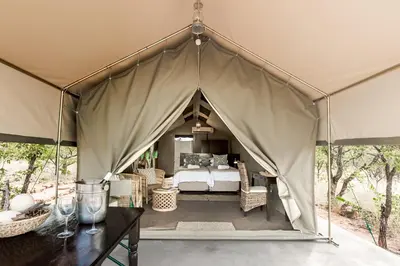 a canopy tent with a bed in it at Mopane Bush Lodge in Linton