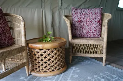 a room with two chairs and a plant in a basket at Mopane Bush Lodge in Linton