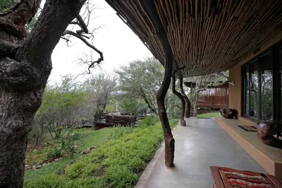 a porch of a house with a tree at Naledi Lodges in Balule Game Reserve