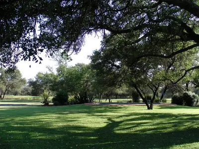 a tree in a field with green grass at Vilagama Game Lodge in Naboomspruit