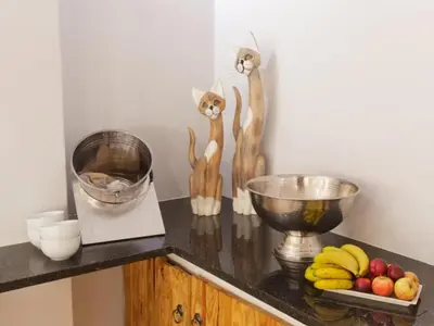 a counter with three cats on it with fruit on it at Mon Reve in Lephalale