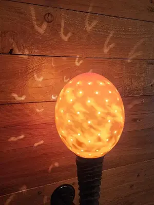 a yellow lighted lamp on a wooden wall at Elandsfontein 21, Mabalingwe in Mabula