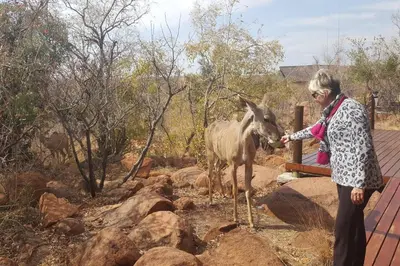 a woman is petting a donkey in a zoo at Elandsfontein 21, Mabalingwe in Mabula