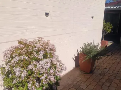 a white wall with flowers and plants next to it at Home Sweet Home in Polokwane