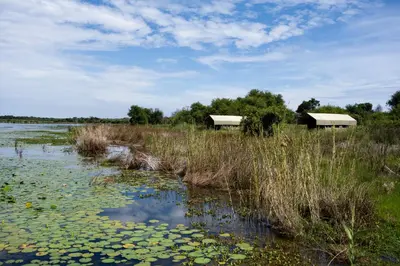 two buildings in a marsh with lilies in the water at Little Mongena Tented Camp in Klipdrift
