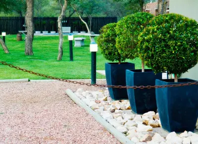 two large blue vases with trees in a park at Rip van Winkel Guest House in Lephalale