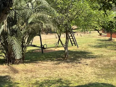 a tree with a swing in a park at Thyme Inn on Greenway in White River