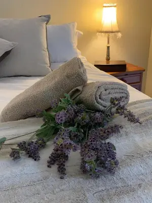 a bouquet of purple flowers sitting on a bed at Douglas Villas in Tzaneen