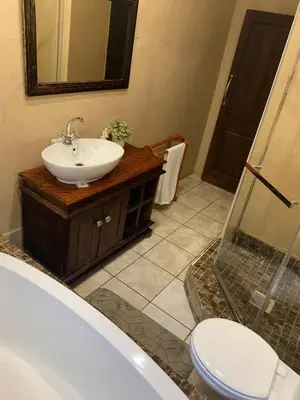 a bathroom with a sink and a shower and a toilet at Douglas Villas in Tzaneen