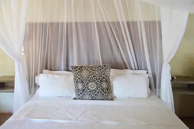 a bed with a canopy with white pillows at Pan African Lodge & Safari in Marloth Park