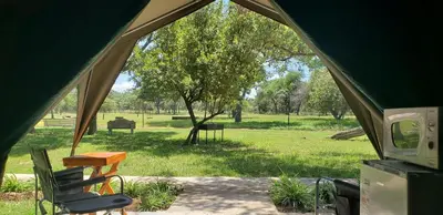 a tent with a chair and a tree in a field at Berchtesgaden Game Ranch & Lifestyle Farm in Vaalwater