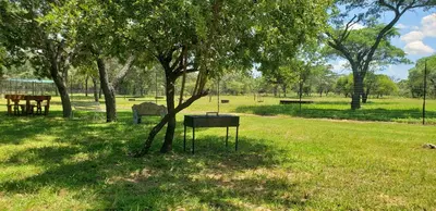 a picnic table under a tree in a park at Berchtesgaden Game Ranch & Lifestyle Farm in Vaalwater