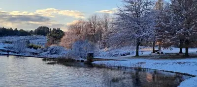 a body of water with snow on the ground and trees at 712@Rest in Dullstroom