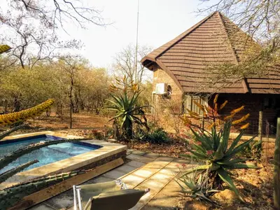 a house with a swimming pool in a yard at Chip n Debs Kruger Vacations in Marloth Park