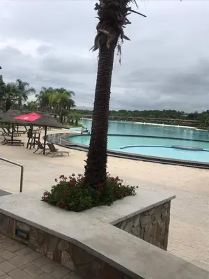 a palm tree and flowers next to a pool at The Blyde Crystal Lagoon Cologne3 in Greenview