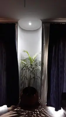 a plant in a vase in a bedroom with curtains at Little Umhlanga. Sunflower suite. in Pretoria