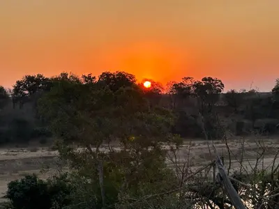 a sunset in a field with a tree in the foreground at Shades of Nature in Marloth Park
