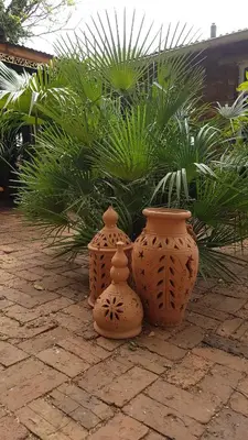 three vases sitting on a brick patio with plants at Wooden Creek Estate in Kempton Park