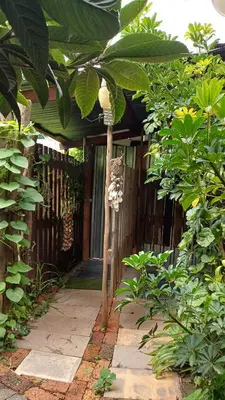 a garden with a wooden fence and a tree at Wooden Creek Estate in Kempton Park
