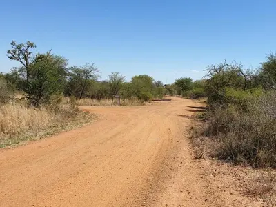 a dirt road in the middle of a field at 42@ Ditholo Game Lodge in Thabazimbi