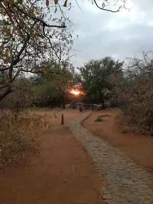 a dirt road with the sun setting in the distance at Kelora Bush Camp in Hoedspruit