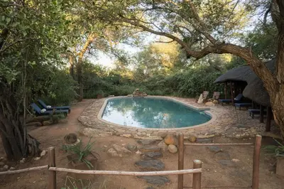a swimming pool in a yard with a tree at Kelora Bush Camp in Hoedspruit