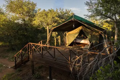 a tent with a bed on a wooden deck at Kelora Bush Camp in Hoedspruit