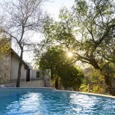 a swimming pool with the sun shining through trees at Leopard's Lair Bush Lodge in Hoedspruit