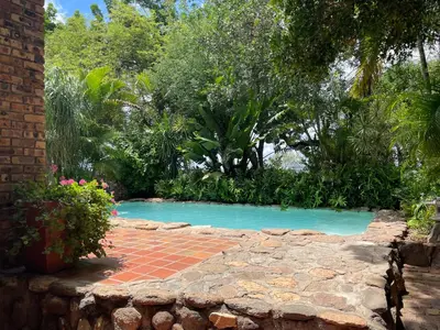 a swimming pool in the middle of a garden at Modjadji Estate Lodge & Spa in Grietjie Nature Reserve