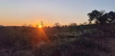 a sunset in a field with the sun setting at Modjadji Estate Lodge & Spa in Grietjie Nature Reserve