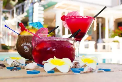 two cocktails sitting on a table with shells at Club Cocomo in Hartbeespoort