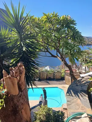 a palm tree next to a swimming pool at Cozy Kosmos in Hartbeespoort