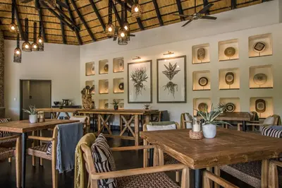 a restaurant with wooden tables and chairs and pictures on the wall at Abelana River Lodge in Phalaborwa
