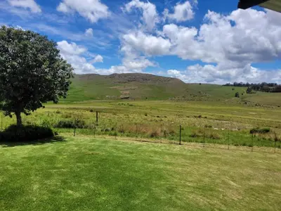 a green field with a tree and a hill at Mountain View Farm Cottage 4X4 Vehicles ONLY in Dullstroom