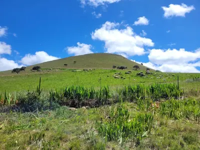 a hill in the middle of a green field at Mountain View Farm Cottage 4X4 Vehicles ONLY in Dullstroom