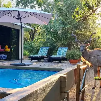 Loerie Escape - Marloth Park