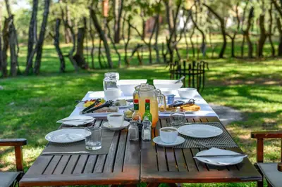 a wooden picnic table with food and drinks on it at Mziki Safari Lodge in Vaalkop Dam