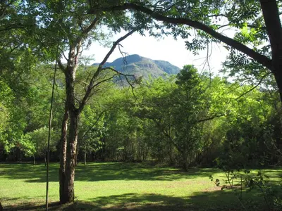 a swing in a tree with a mountain in the background at Old Joe's Kaia in Schoemanskloof