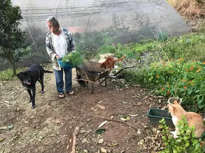 a woman with two dogs and a wheelbarrow with plants at Old Joe's Kaia in Schoemanskloof