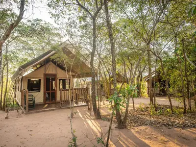 a small house in the middle of some trees at Buffalo Rock Tented Camp in Hazyview