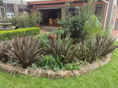 a garden in front of a house with plants at Sibahlenomhlambi Guesthouse in Springs